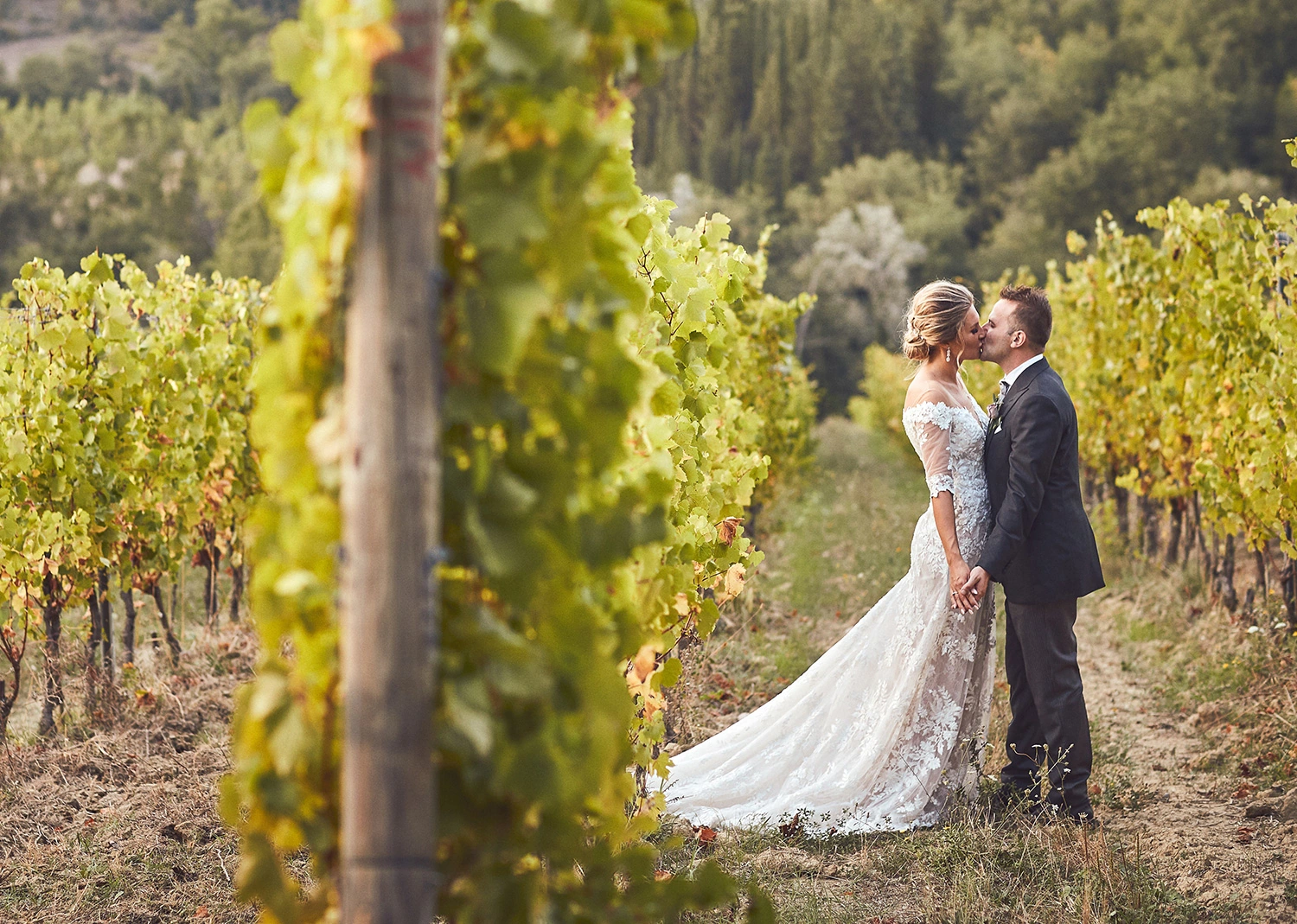 vineyard wedding