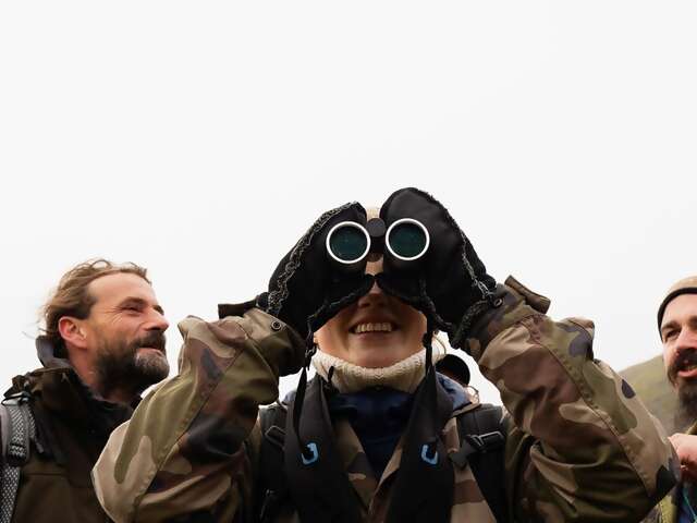 Now you can search for wildlife on @AirbnbExperiences