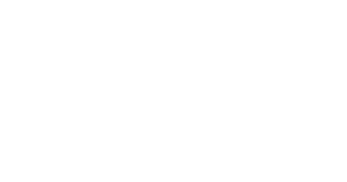North South Travel logo