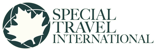 Special Travel International