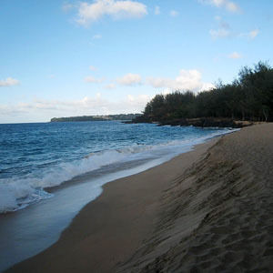 Cruising Hawaii's Paradise with Sheraton Waikiki