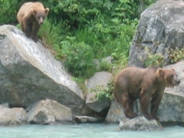 Alaska's Iditarod with Fairbanks