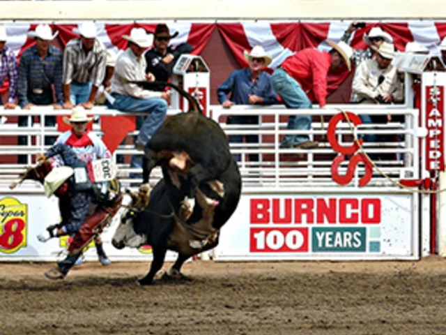 Calgary Stampede