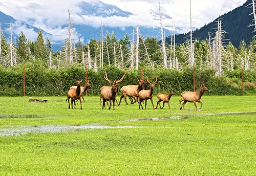 Alaska and The Yukon