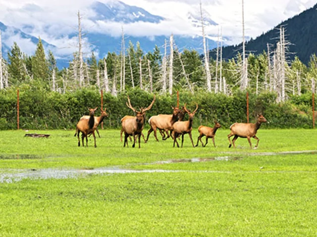 Alaska and The Yukon