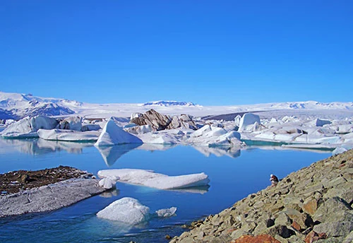 Iceland's Magical Northern Lights