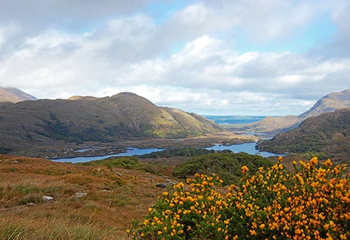 Countryside of the Emerald Isle