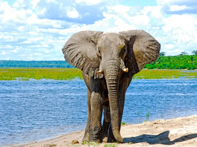 Exploring South Africa, Victoria Falls & Botswana