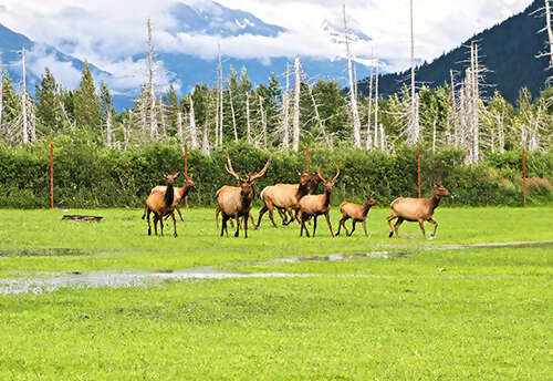 Alaska and The Yukon