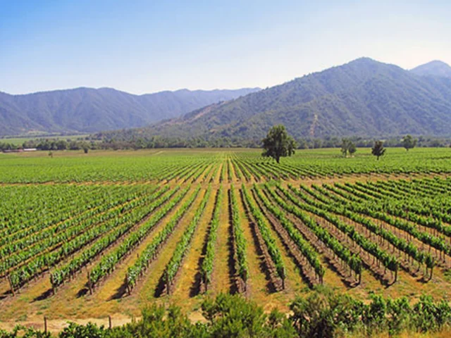 Chile & Argentina: Mountains, Lakes & Vineyards