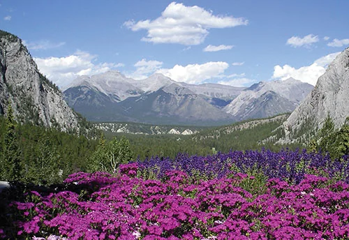 Canadian Rockies & Glacier National Park