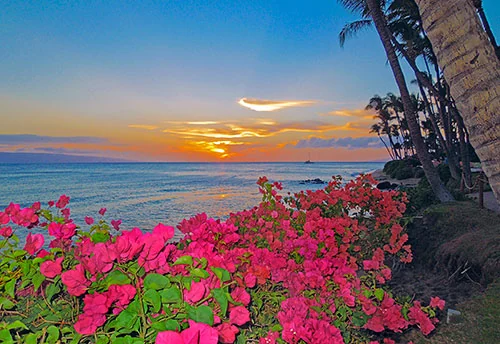 Hawaii by Land & Sea
