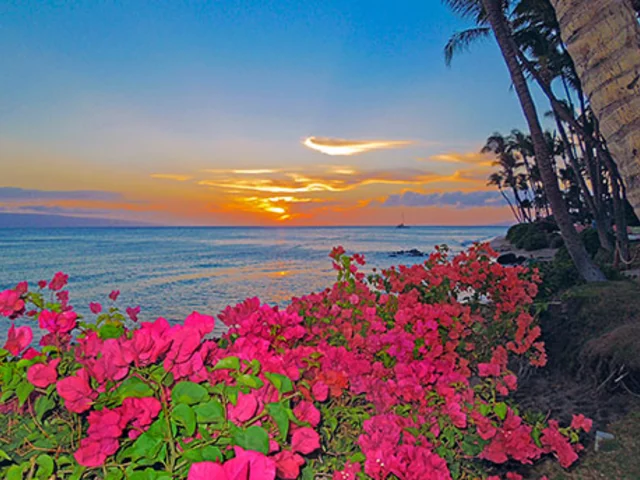 Hawaii by Land & Sea