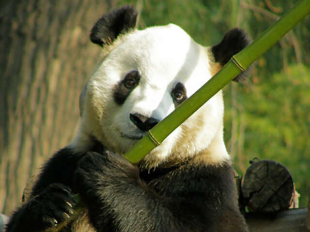 China Highlights