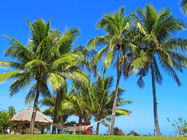 A Taste of the South Pacific