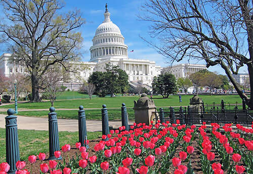 Gardens of American History
