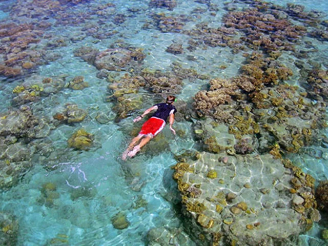 A Taste of the South Pacific