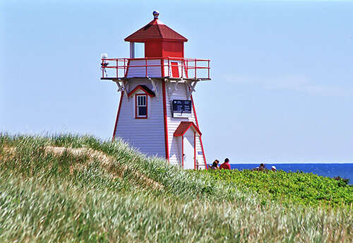 Wonders of Newfoundland