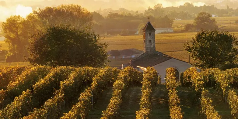 Bordeaux, Vineyards & Chateaux