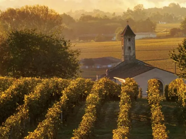 Bordeaux, Vineyards & Chateaux