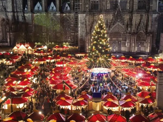Rhine Holiday Markets