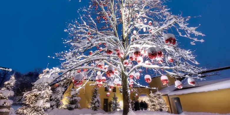 Danube Holiday Markets