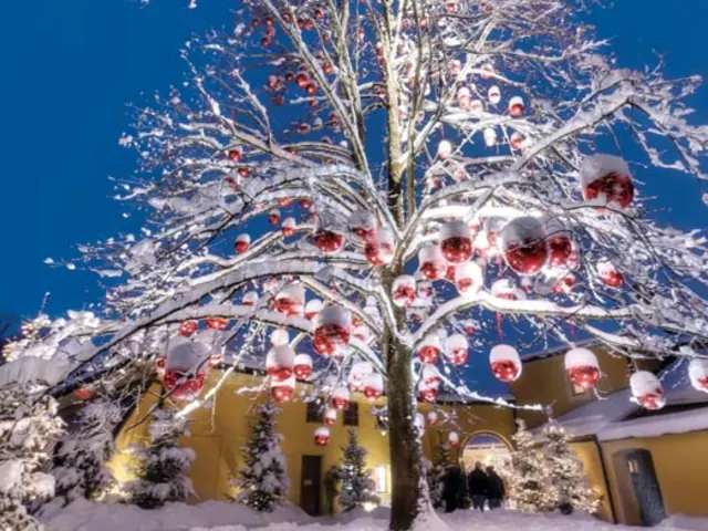 Danube Holiday Markets