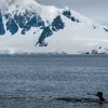 Glacier Bay National Park