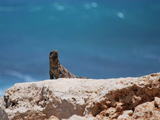 The Wonders of Mexico's Yucatan with Cancun