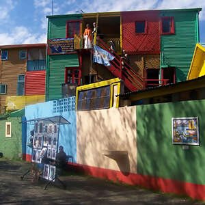 Vineyards of South America