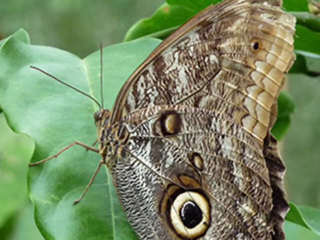 Costa Rica Escape