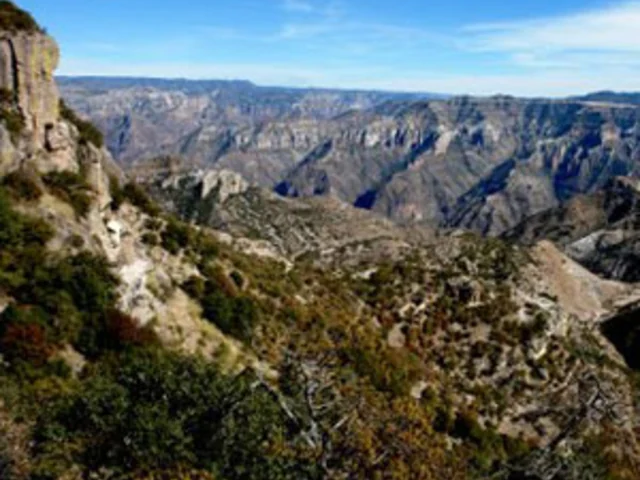 Mexico's Copper Canyon