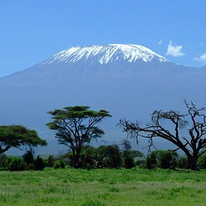 East Africa Private Safari