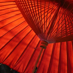 Classic Japan: The Golden Route