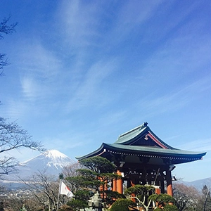 South Korea & Japan Highlights