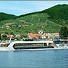 Vigo