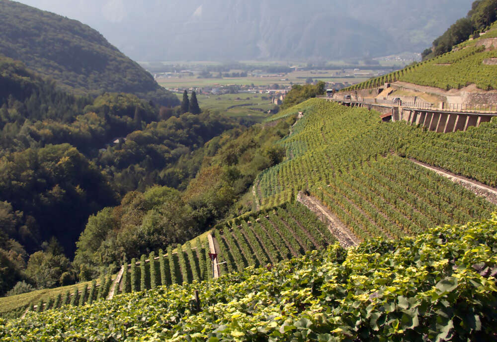 Switzerland: Hidden Trails & Majestic Peaks