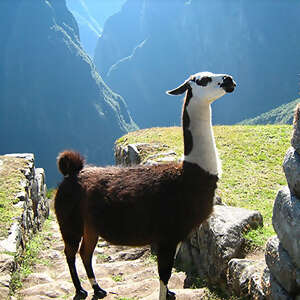 Peru Escape