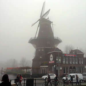 Rhine & Rhône Revealed for Wine Lovers - Cruise Only