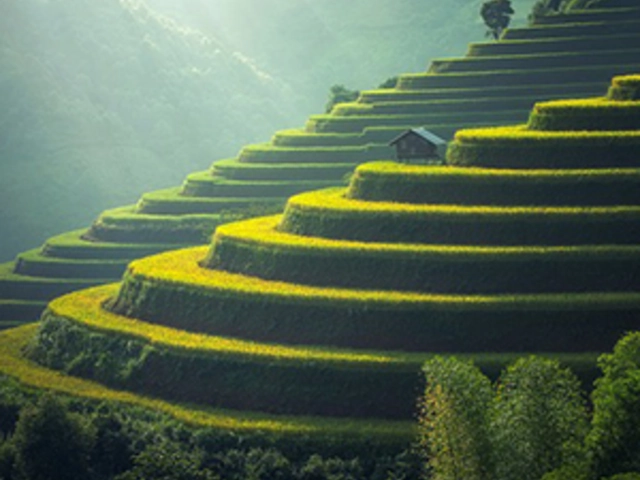 The Heart of Cambodia & Vietnam with Sapa, Hue & Danang - Northbound