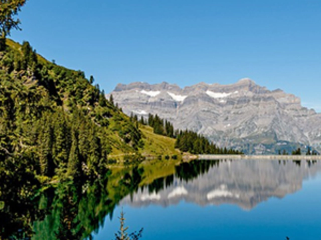 Romantic Rhine with Bavarian Highlights