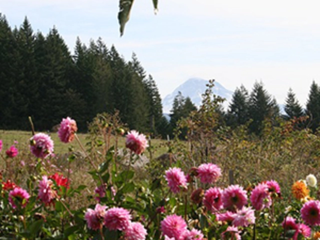 Oregon's Coast, Cascades & Craft Beers