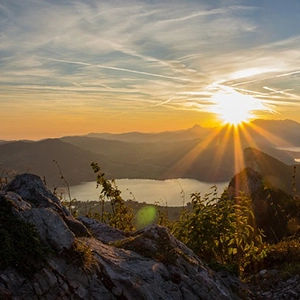 Active Discovery on the Danube with Salzburg – Westbound