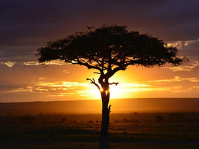 Kenya: A Classic Safari with Nairobi & Amboseli