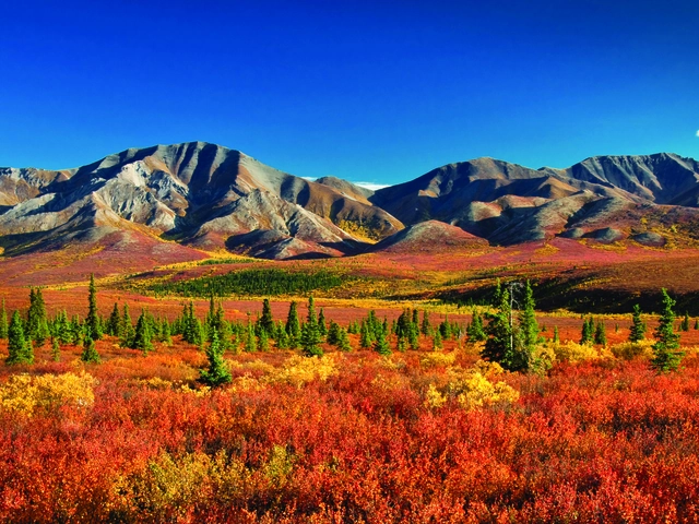 Adventure to Alaska featuring a 7-night Royal Caribbean Cruise