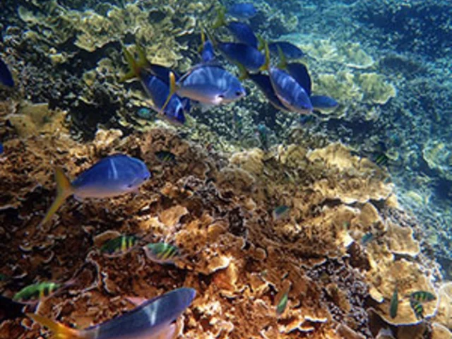 Across Australia by Train with Fiji & the Great Barrier Reef