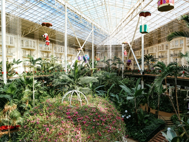 Bluegrass Country & the Smoky Mountains featuring Louisville, Gatlinburg & Asheville