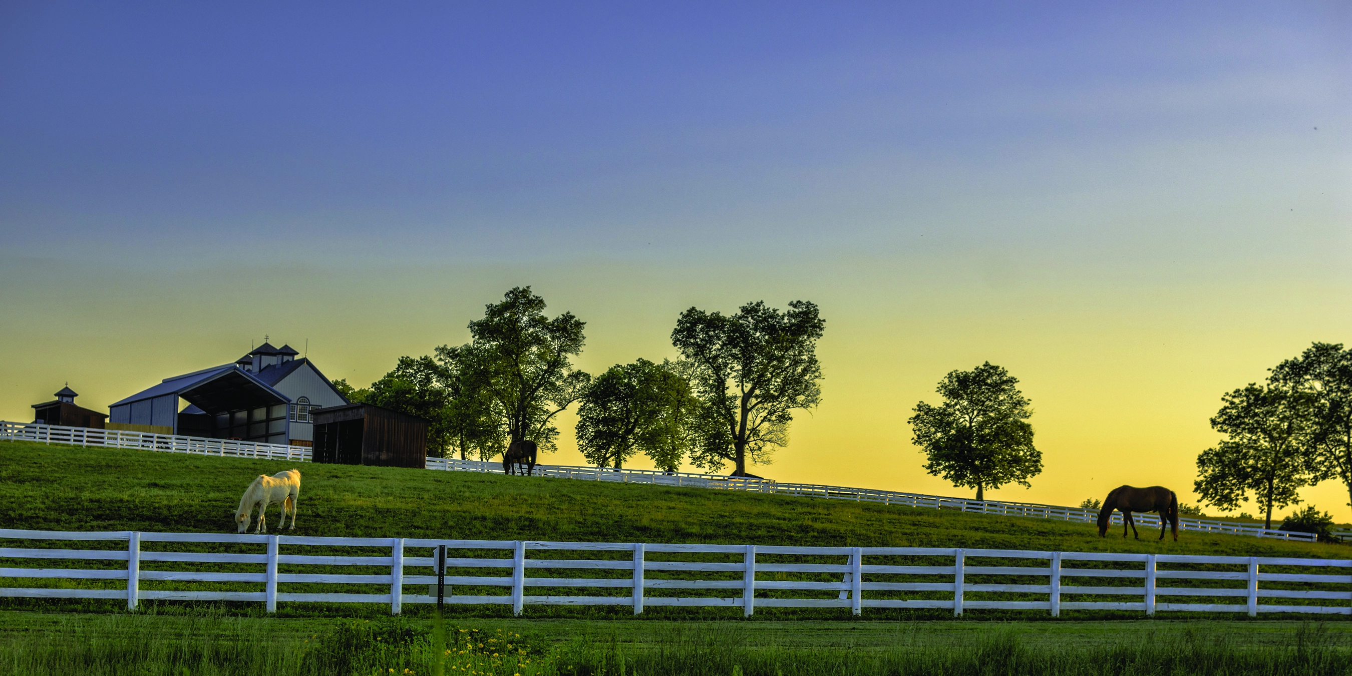 Bluegrass Country & the Smoky Mountains featuring Louisville, Gatlinburg & Asheville