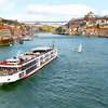 Vidin