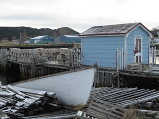 Colorful Newfoundland